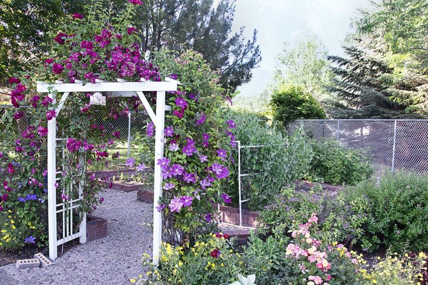 Gorgeous Gardens
