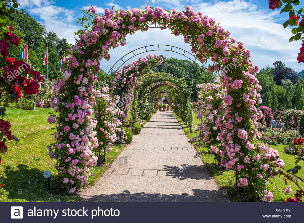 Rose Arches Dublin Classic Garden Elements