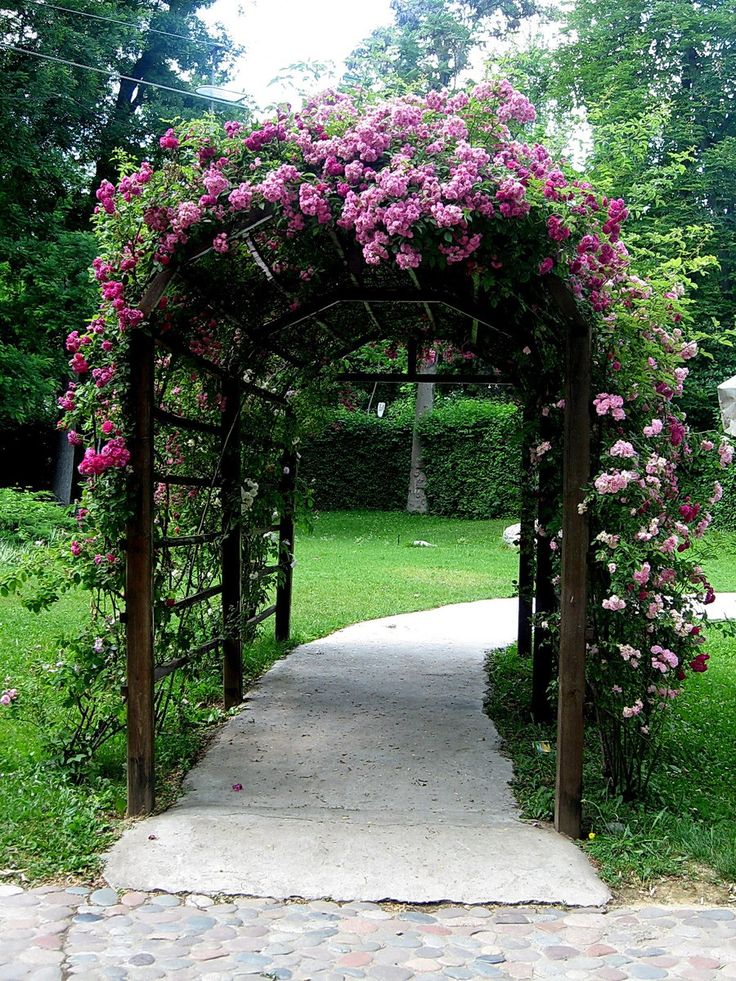 Rose Arches Google Search