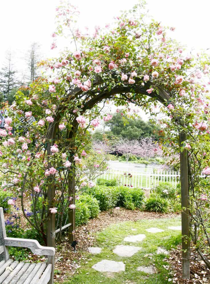 Stunning Creative Diy Garden Archway Design Ideas