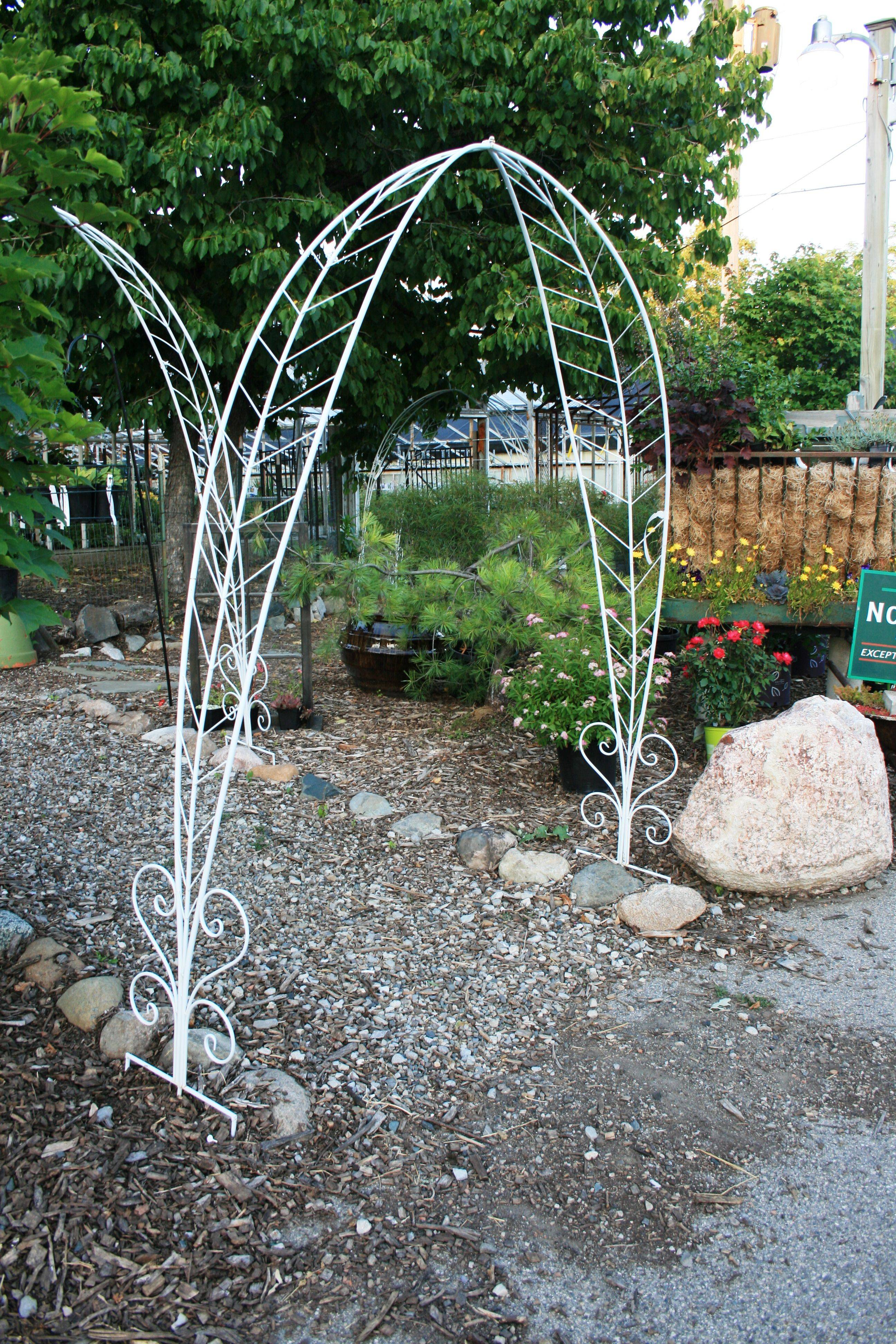 Garden Rose Arch Pergola Climbing Archway Trellis Roses Plants Metal