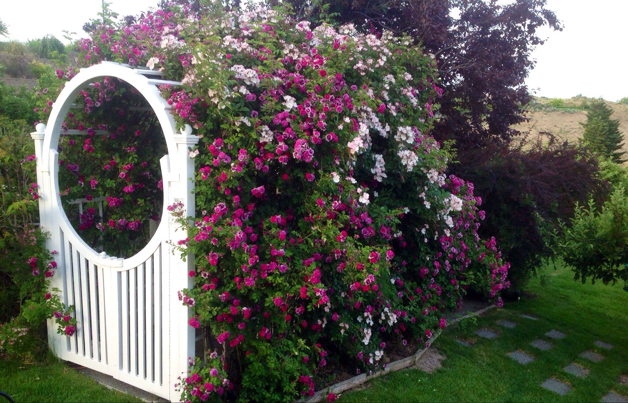An Enchanting Outdoor Space
