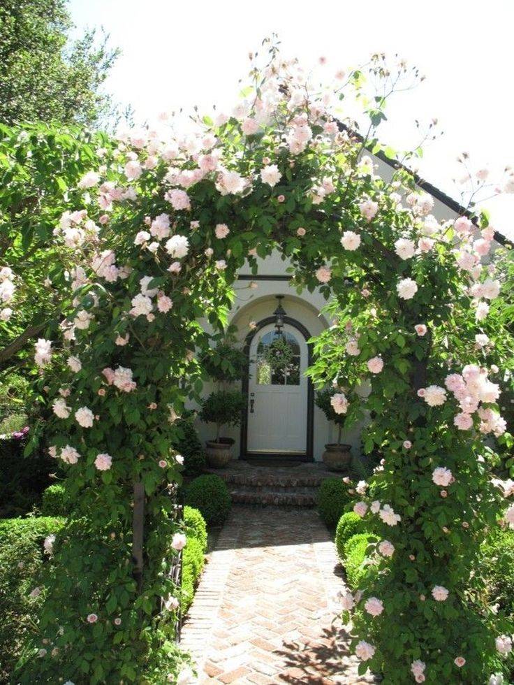Garden Inspiration