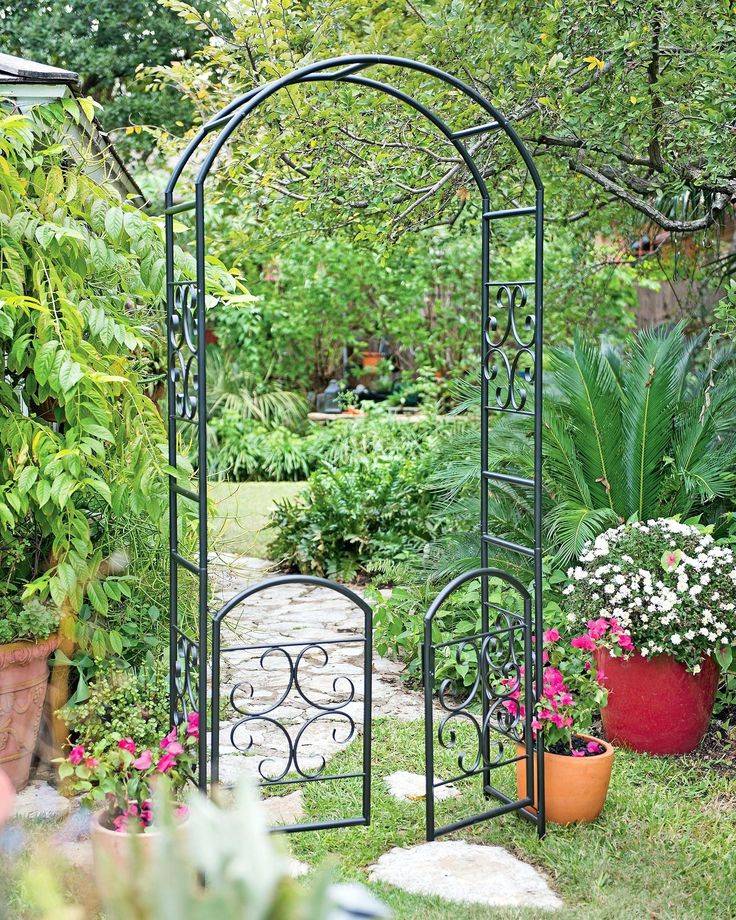 Our Graceful Hummingbird Garden Arbor