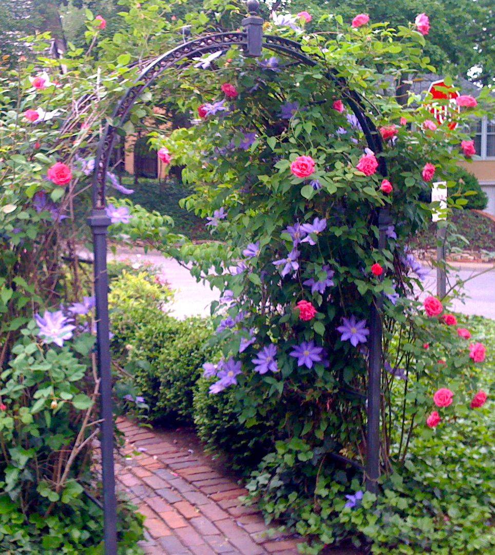 Pinterest Arbors