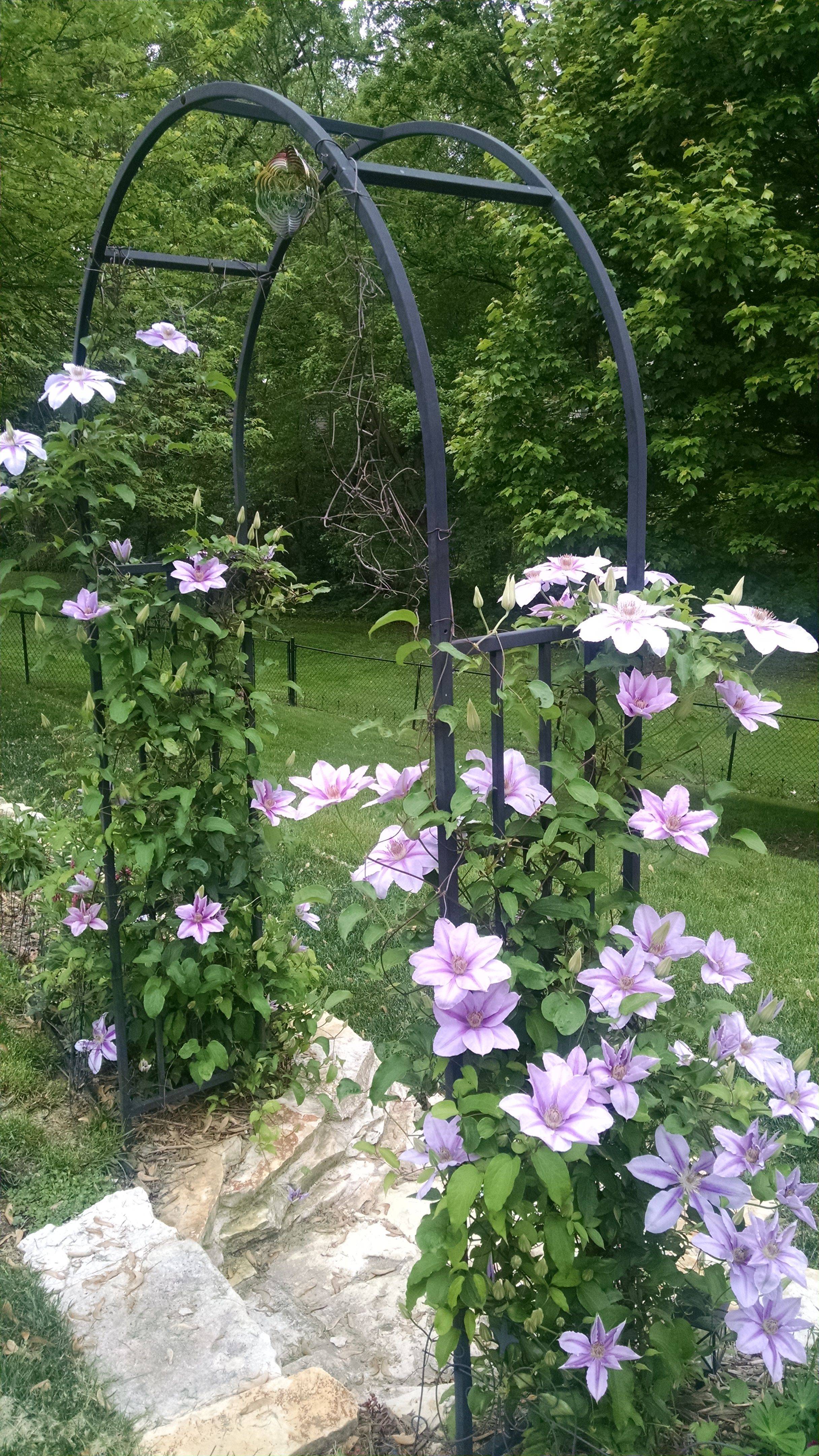 A Victorian Inspired Garden