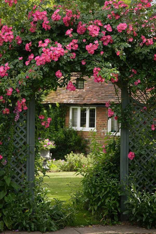19 English Garden Rose Arbor Ideas You Must Look SharonSable