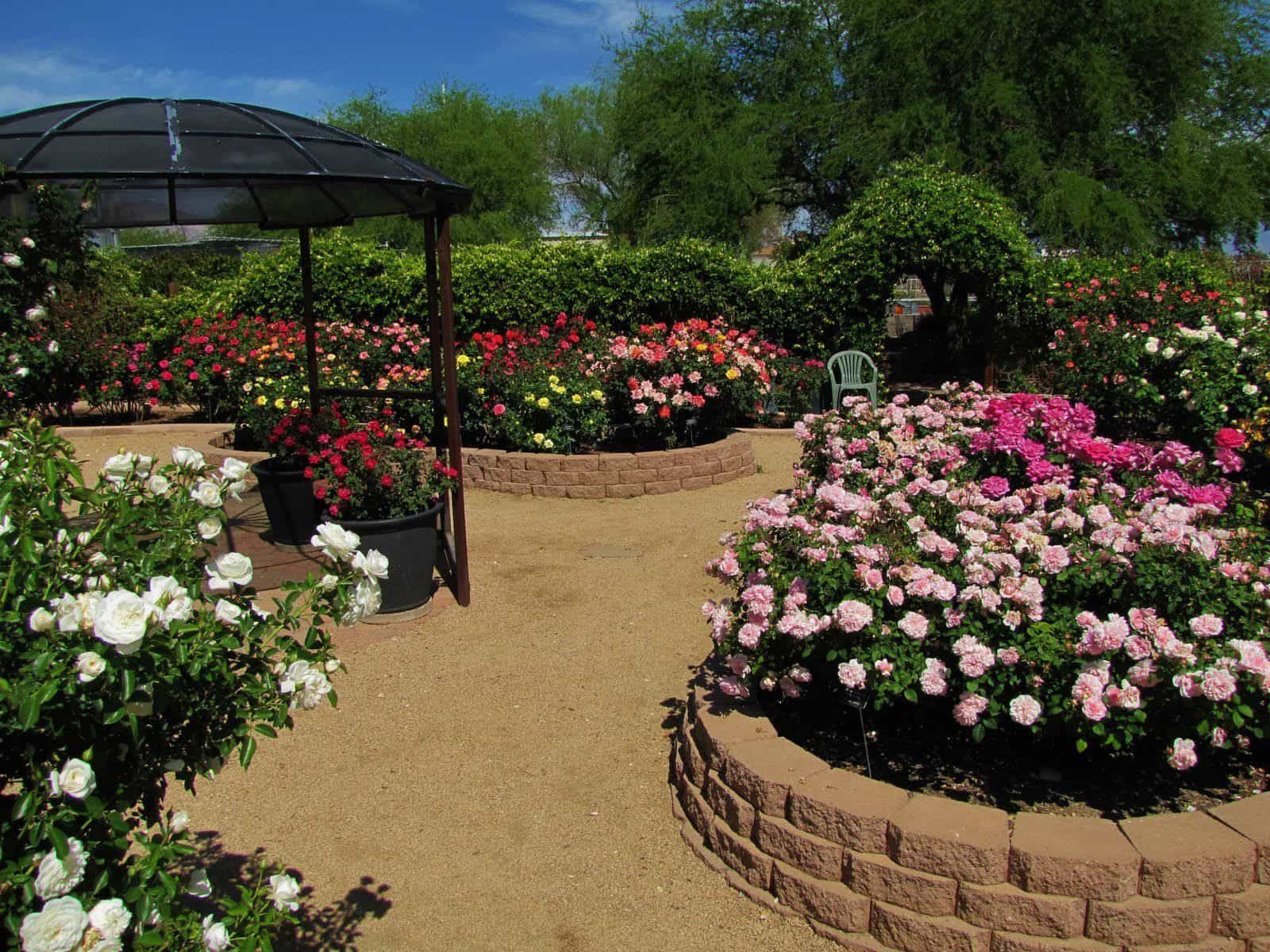 Cottage Garden Rose Garden Design