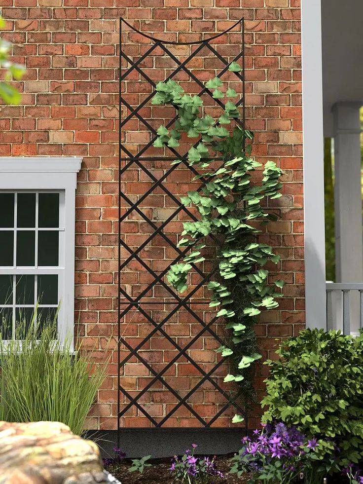 Climbing Rose Trellis Climbing Rose Trellis Wrought Iron Screen