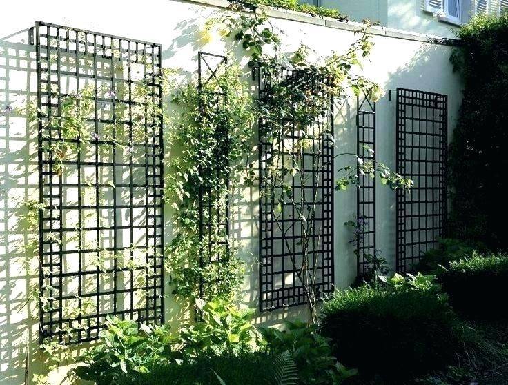 Free Standing Trellis Ideas Awesome Free Standing Metal Trellis Sgwebg