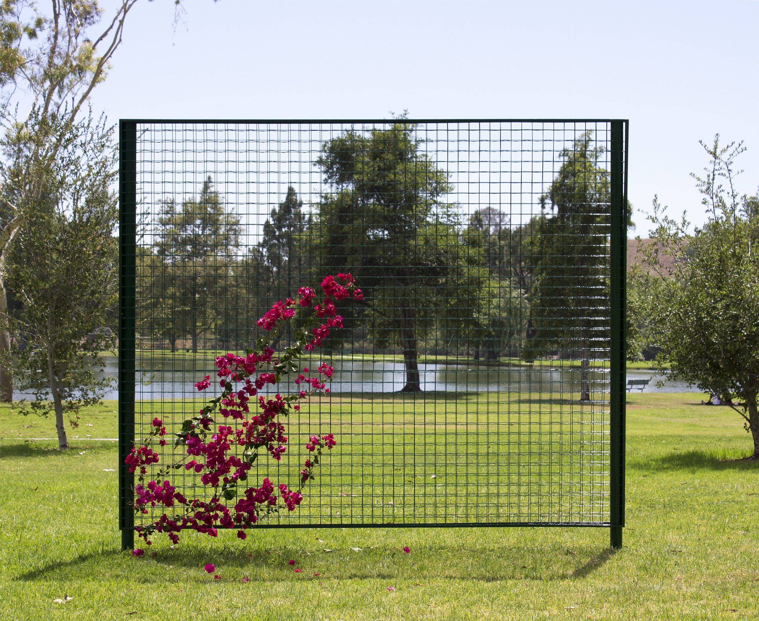 Metal Arched Garden Trellis