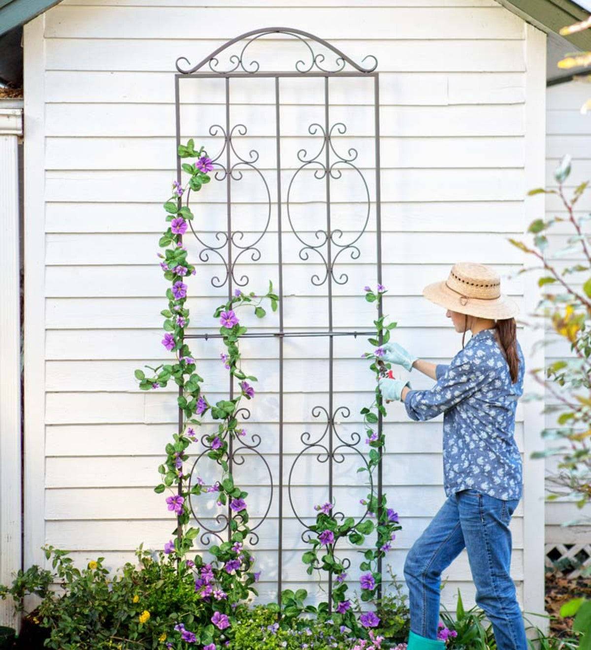 Tall Gardeners Supply Flower