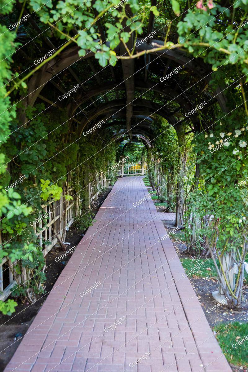 21 Garden Trellis Walkway Ideas To Try This Year SharonSable