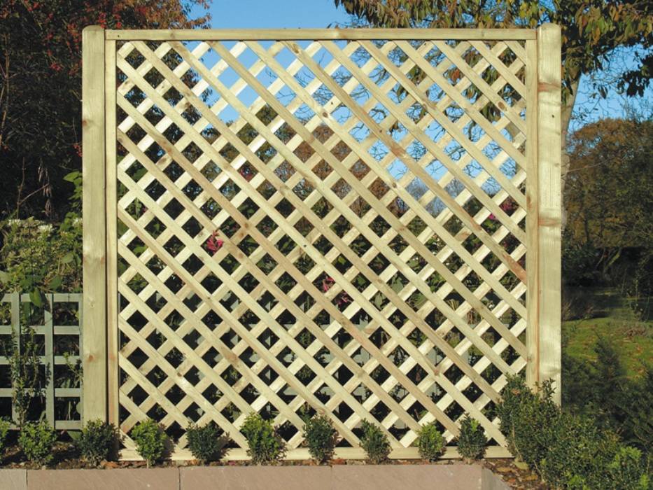 Here Tall Rectangular Cedar Lattice Privacy Panels Djenne Homes