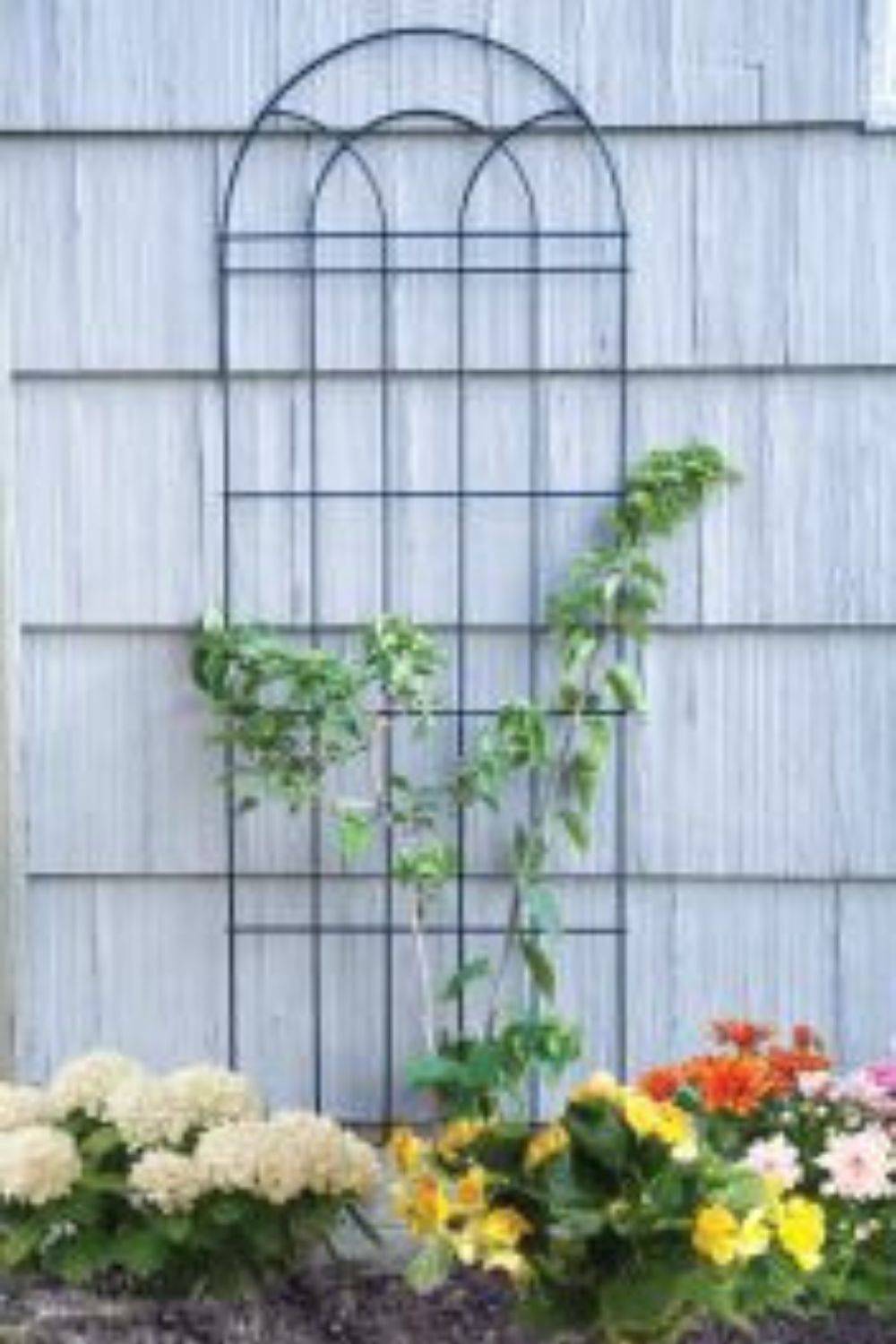 Durable Metal Wire Traditional Garden Trellis