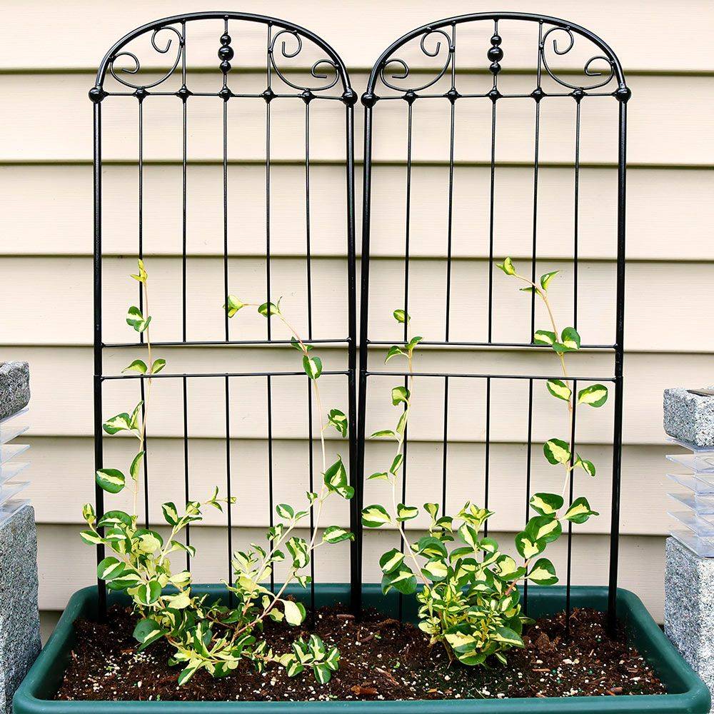 Pinterest Metal Garden Trellis