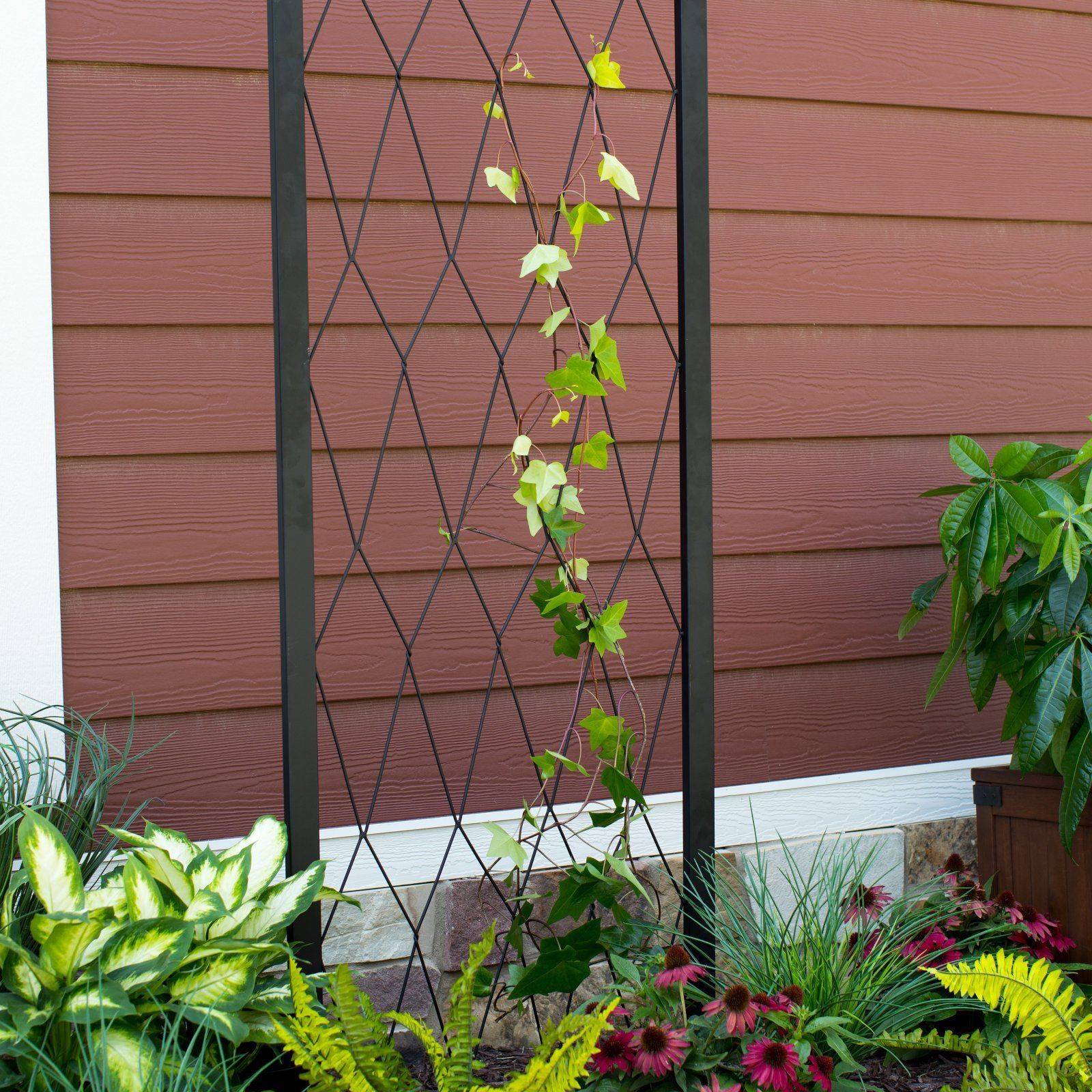 Wrought Iron Trellis Ideas