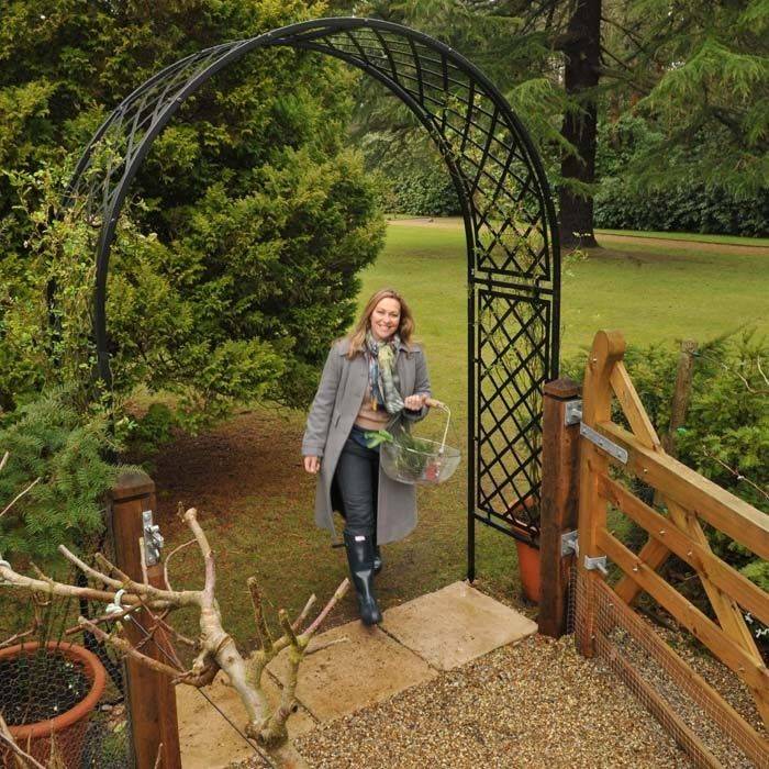 Metal Garden Arch Trellis Ideas