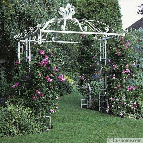 Metal Garden Arch Trellis Ideas