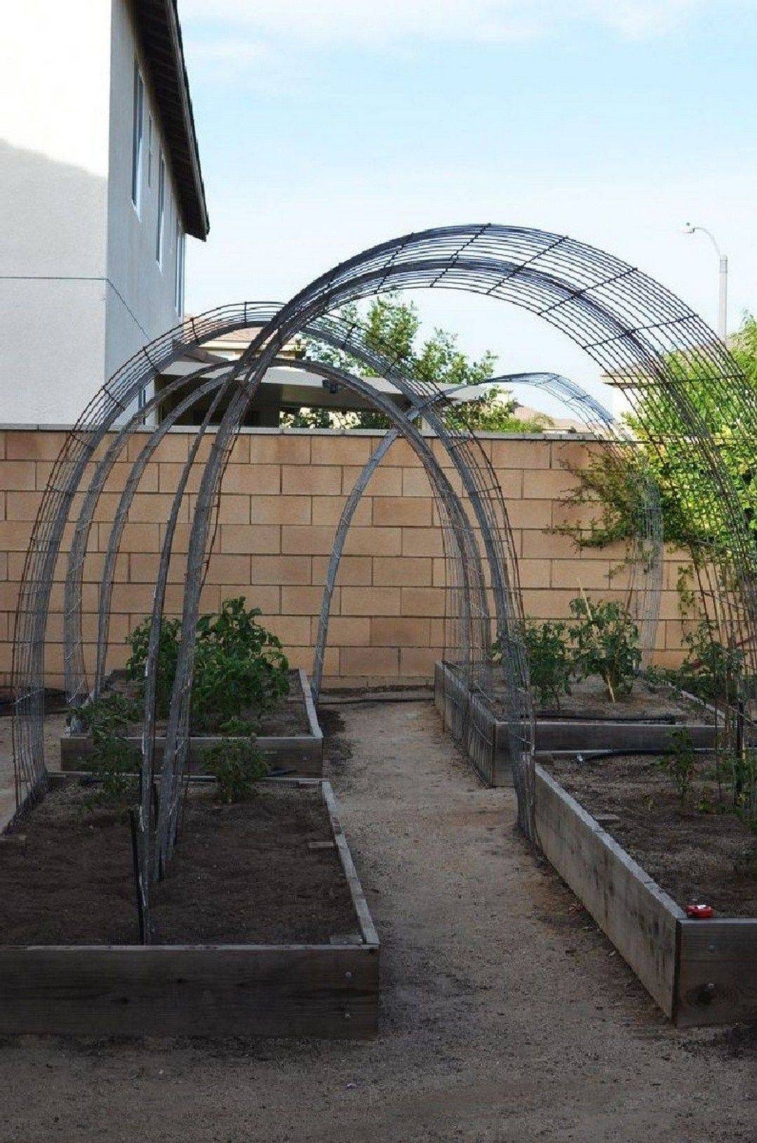 Vegetable Garden Trellis Ideas Simphome
