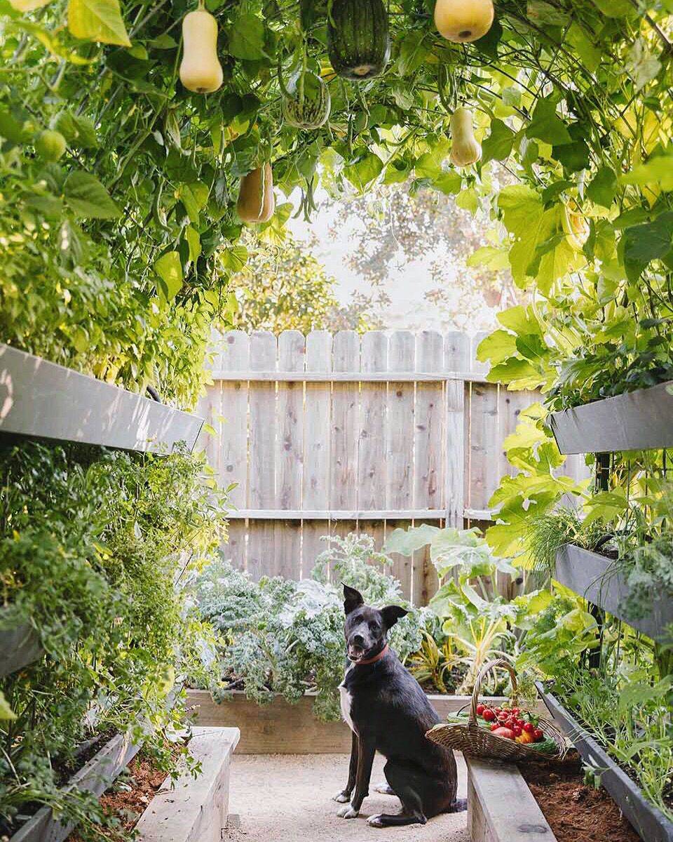 Vegetable Garden Design