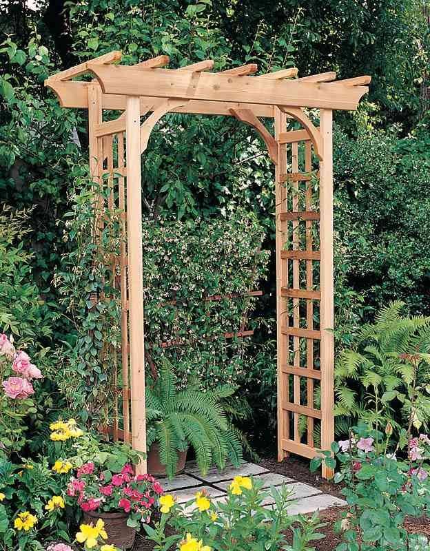 Inspiring Grape Vine Ideas