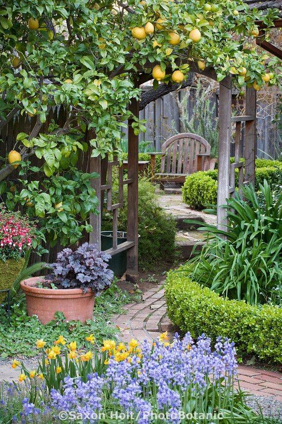 W Arbor Garden Gate Ideas