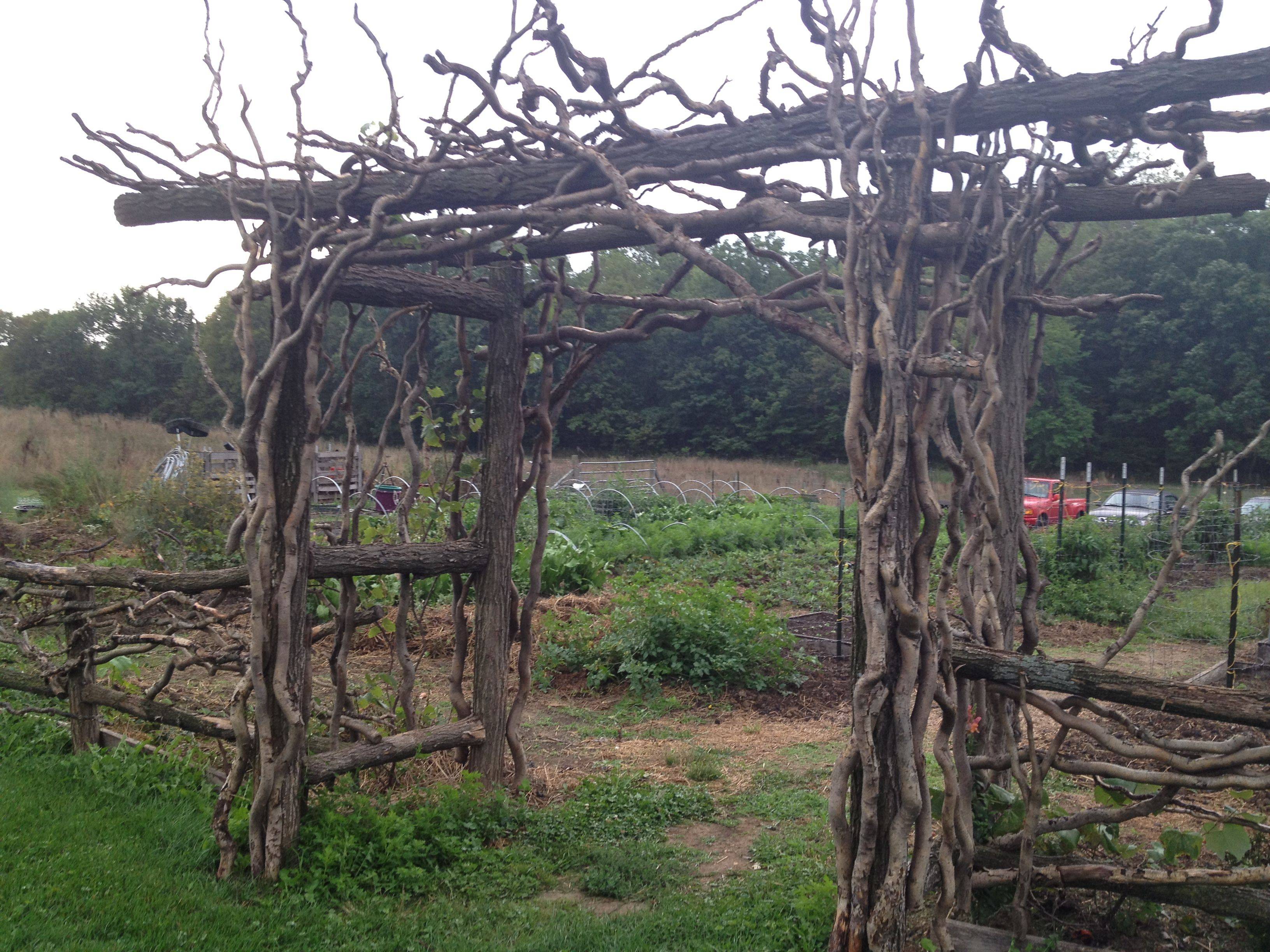 Found Twigsbranches
