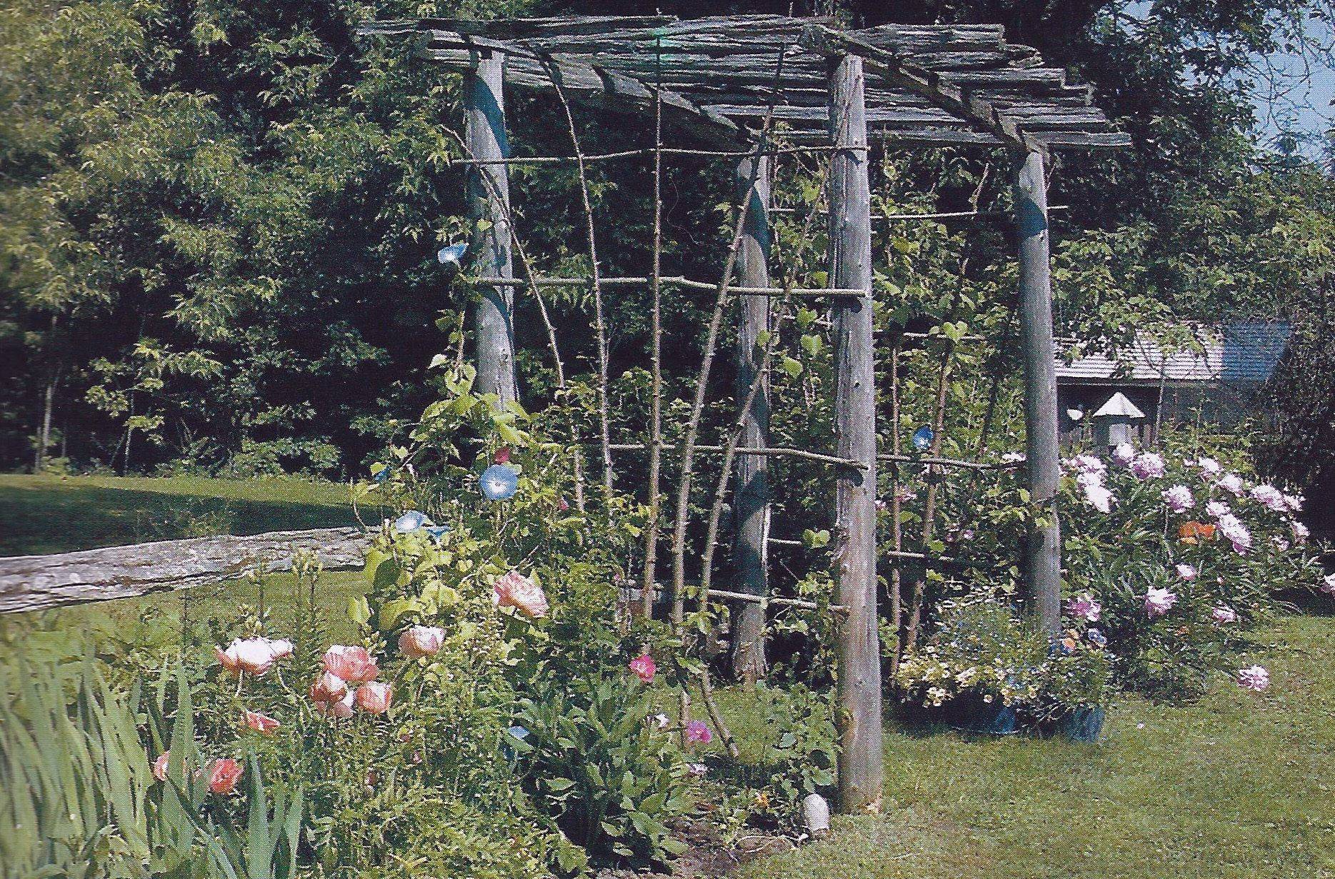 My Twig And Twine Nest