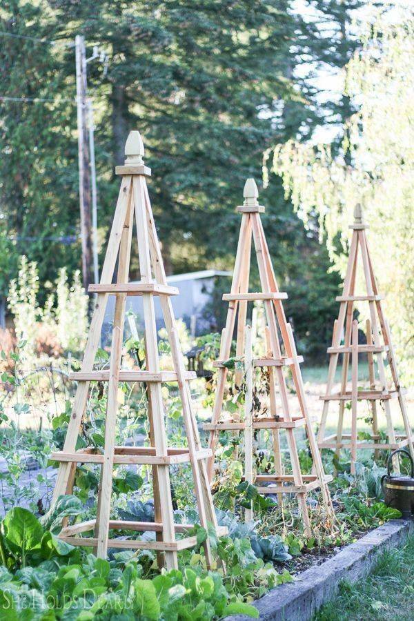 Garden Fencing