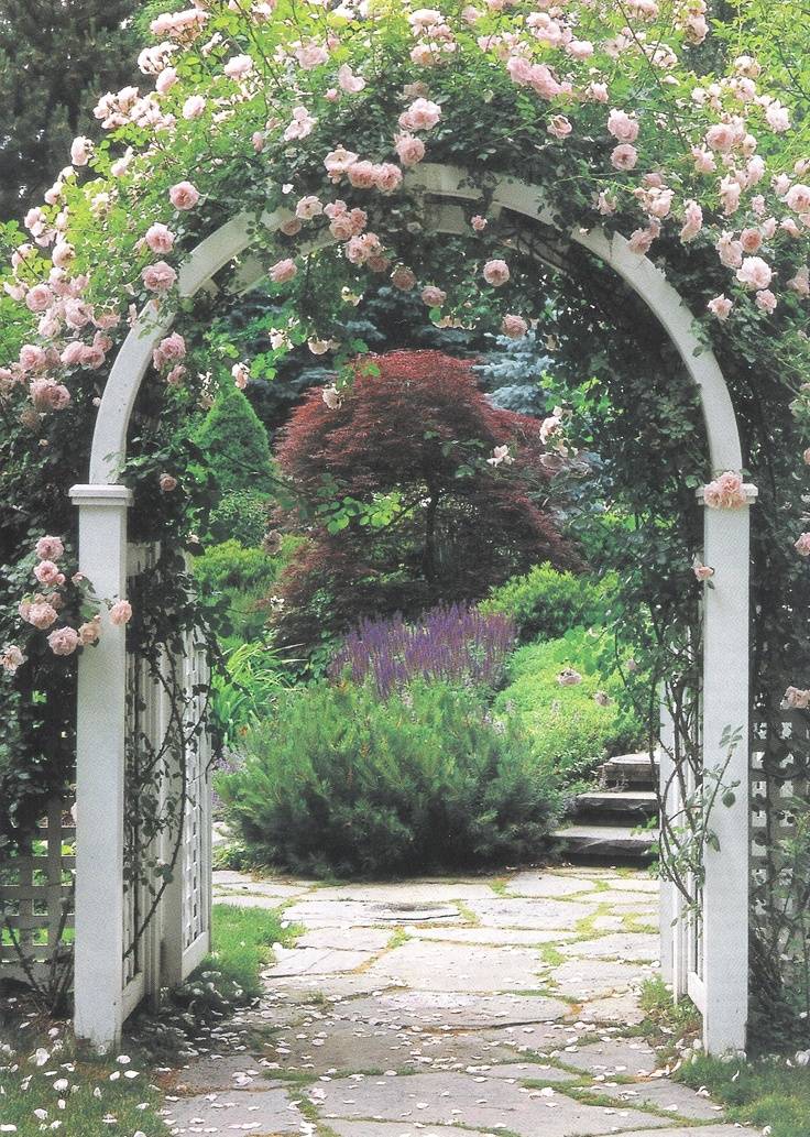 Garden Rose Arch Pergola Climbing Archway Trellis Roses Plants Metal