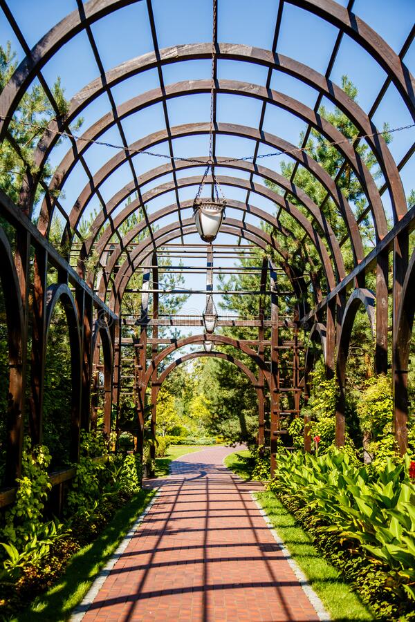Garden Rose Arch Pergola Climbing Archway Trellis Roses Plants Metal
