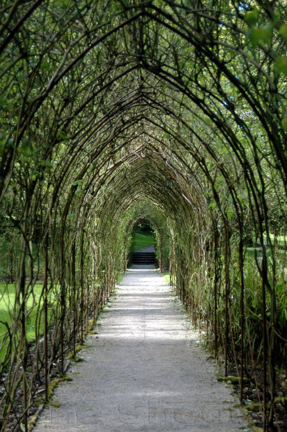 Amazing Goth Garden Ideas