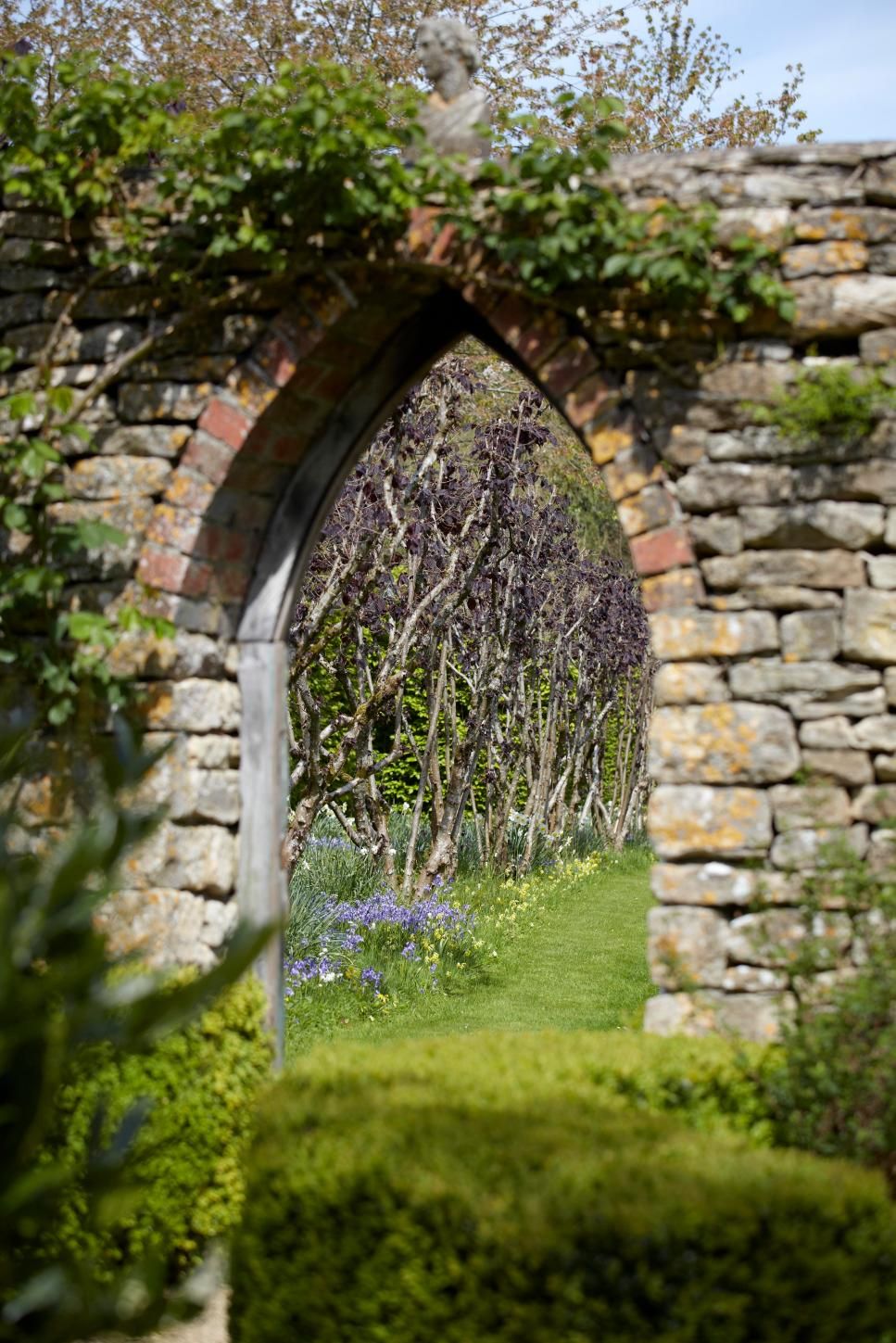 Gothic Arch Vines