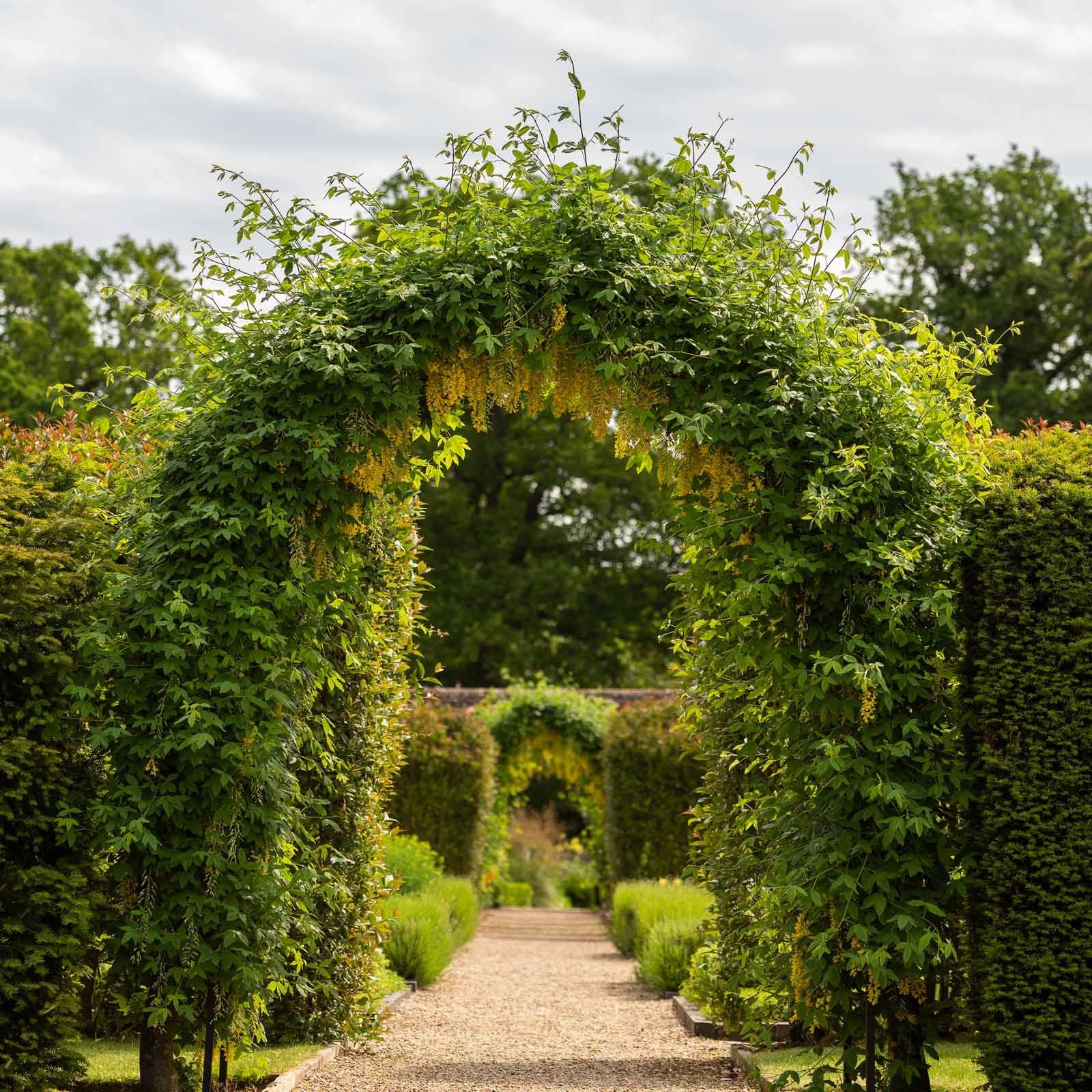 Gothic Garden Arches