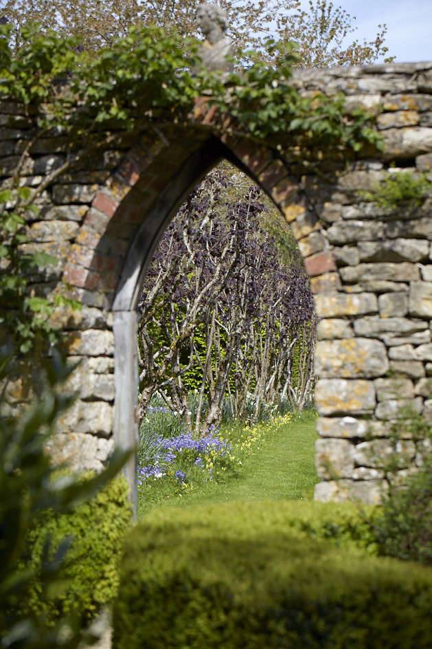 Gothic Arch Gothic Garden