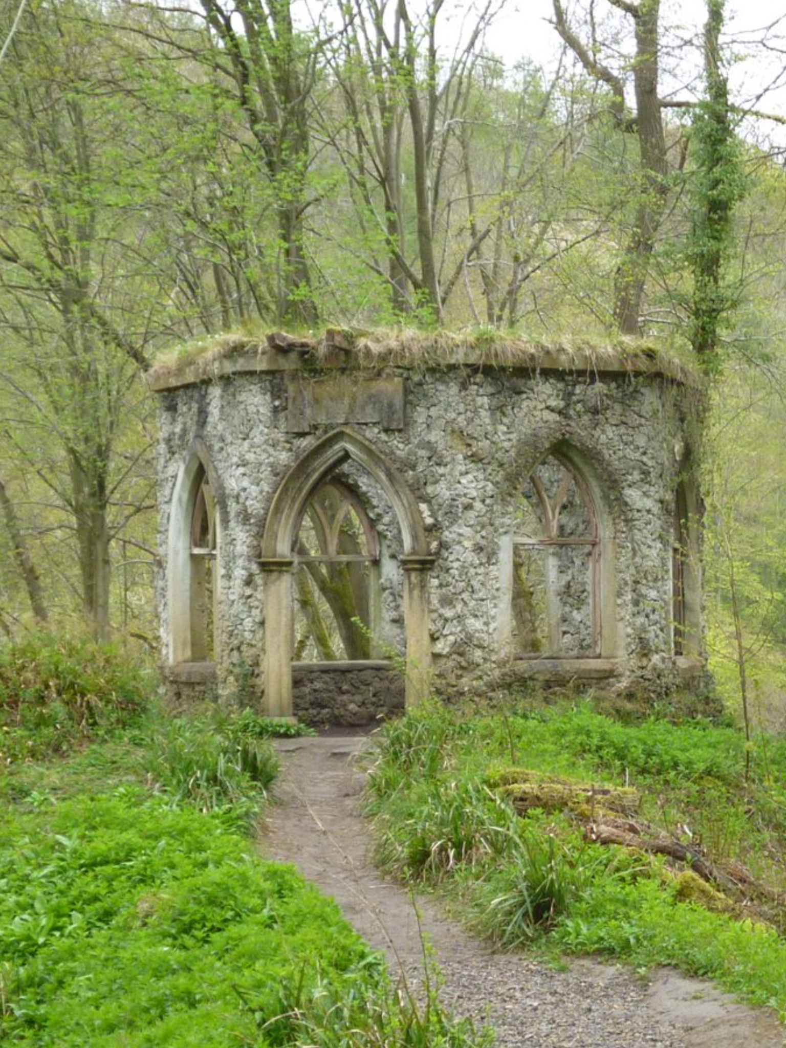 Gothic Arch Vines
