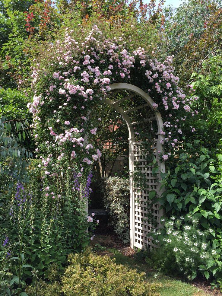 Arch And Path Beautiful Gardens