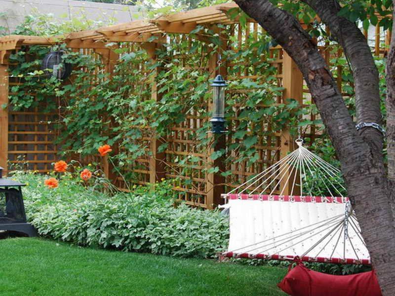 19 Rustic Metal Garden Trellis Ideas For This Year SharonSable