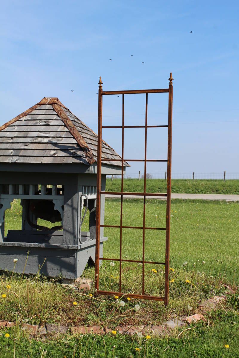 Field Outdoor Spaces