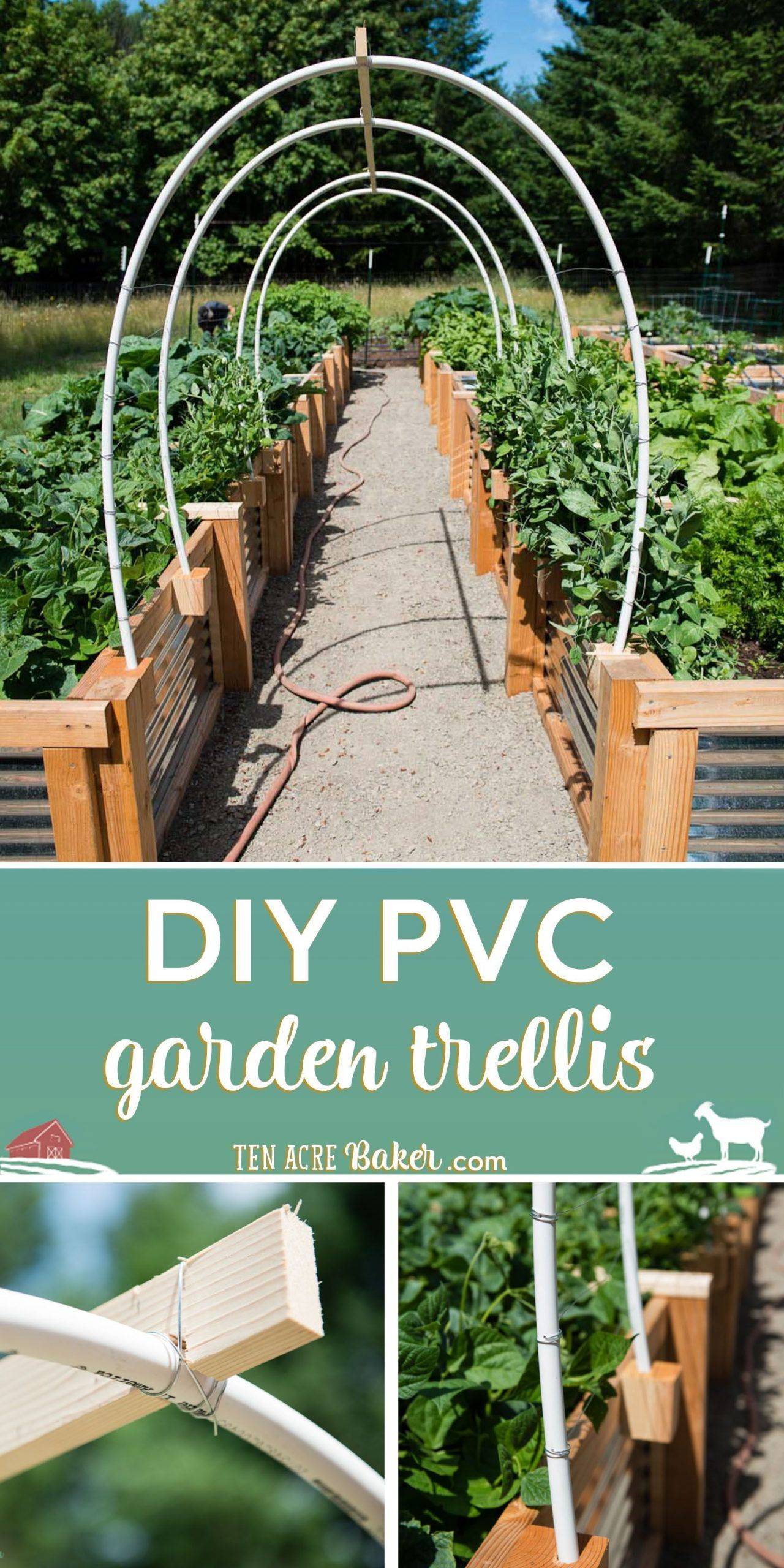 Diy Garden Trellis Arch Great Gardening Websites