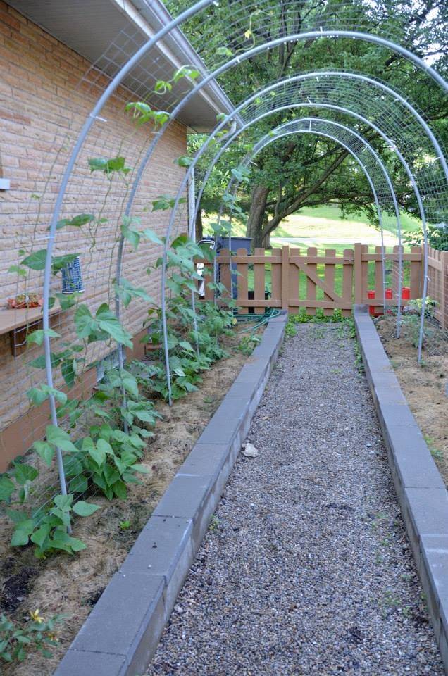 Garden Pvc Trellis Diy Garden