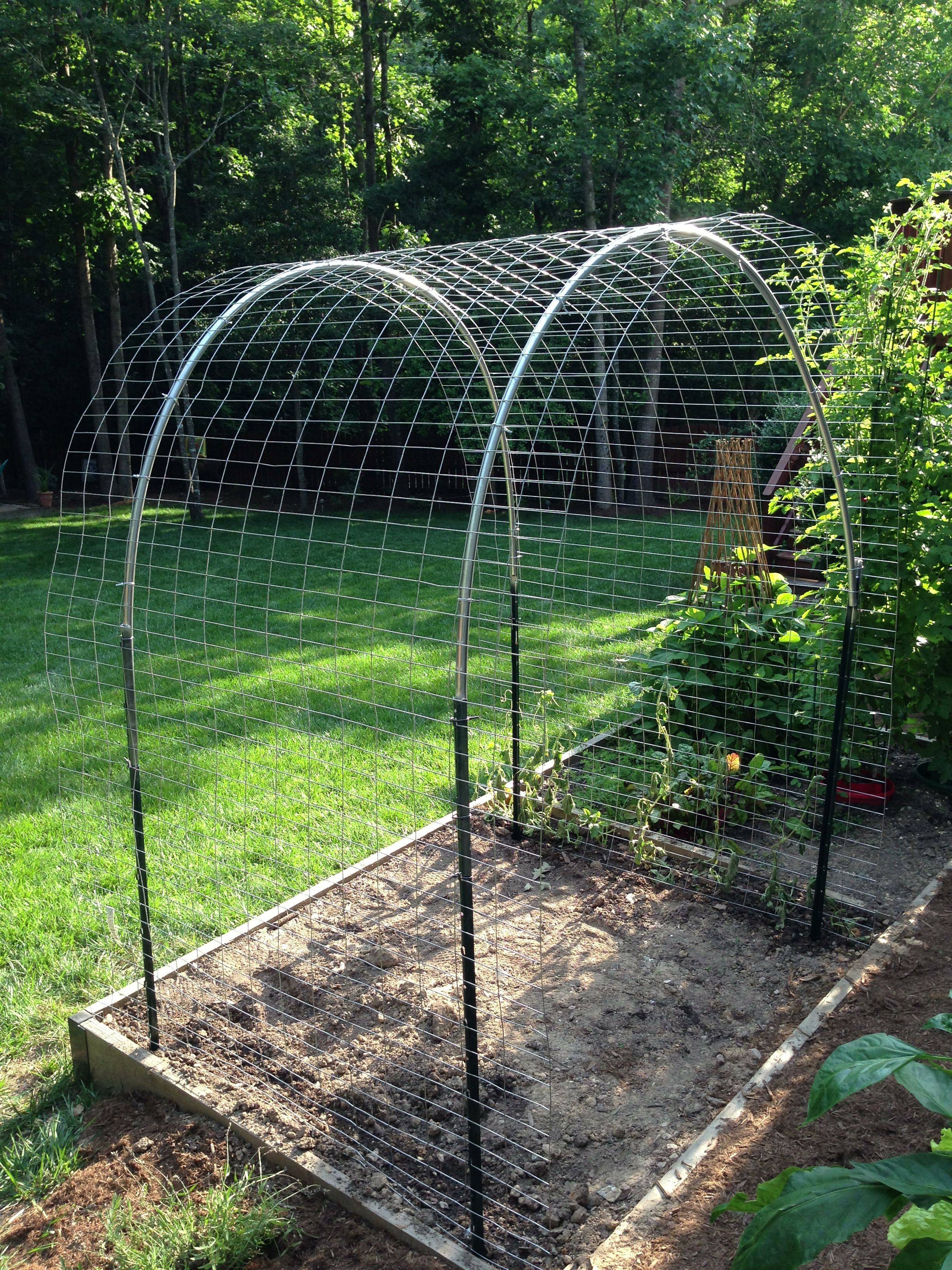 Pvc Vinyl Lattice Garden Archtrellis Gardenorg