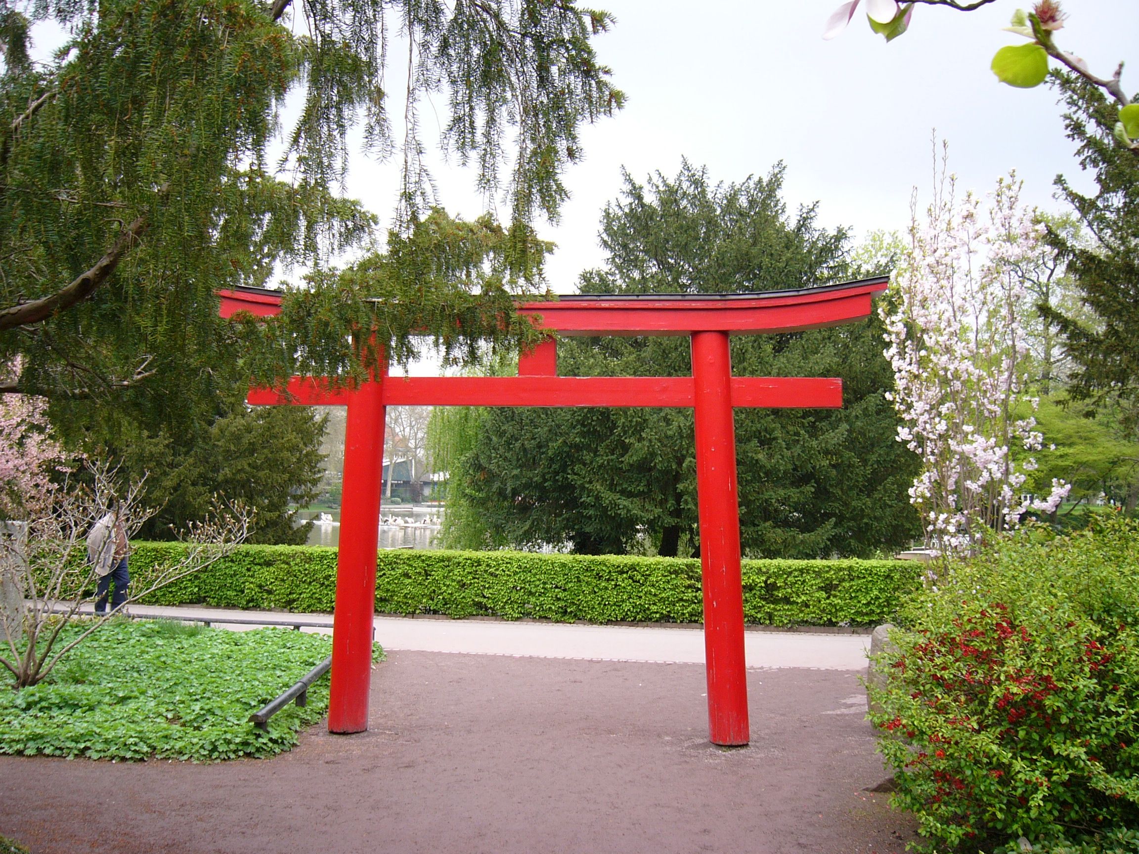 A Japanese Garden David Domoney