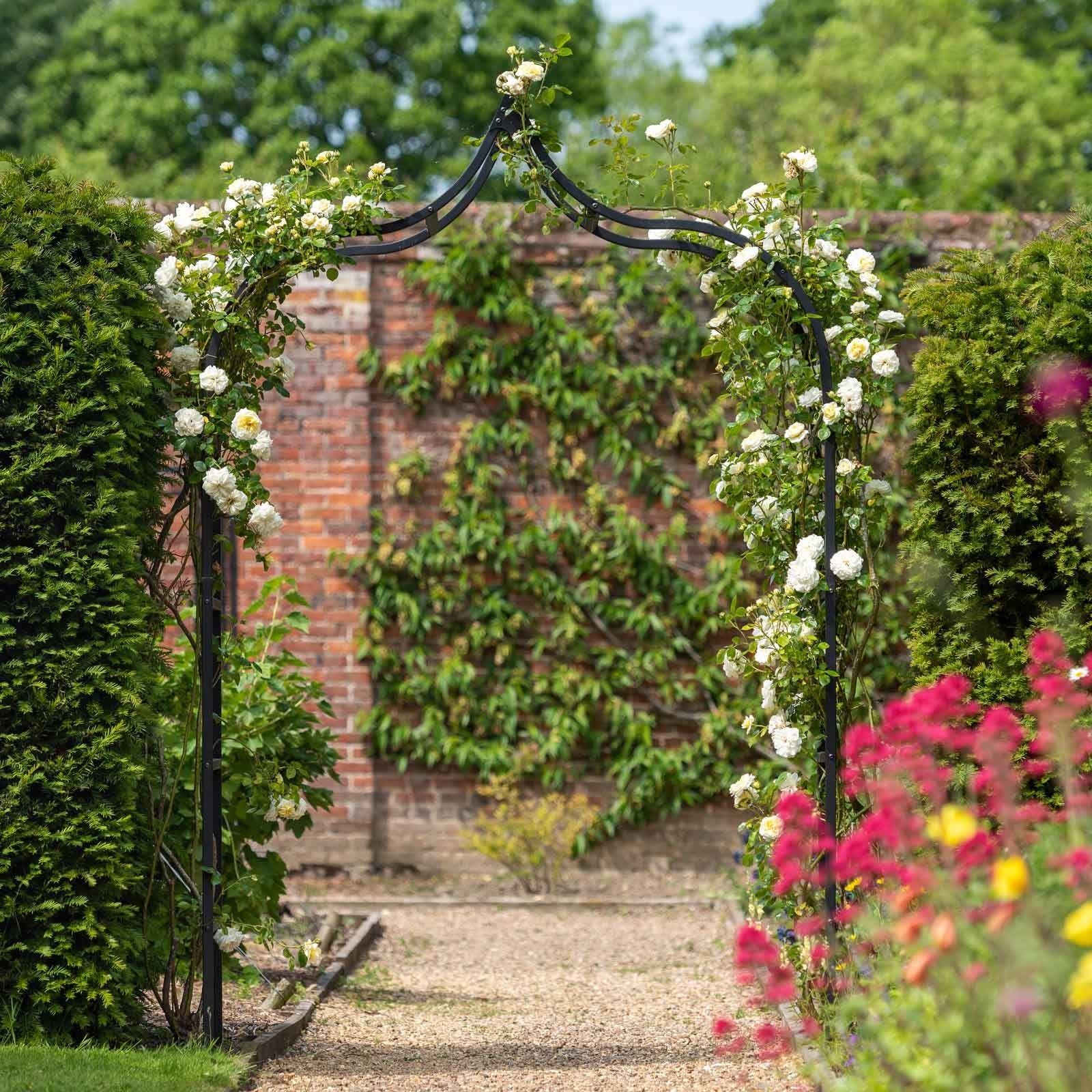 Metal Garden Arch Trellis Ideas