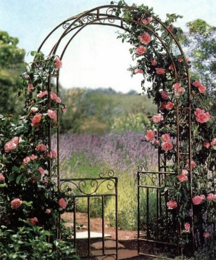 Roman Garden Arch Harrod Horticultural
