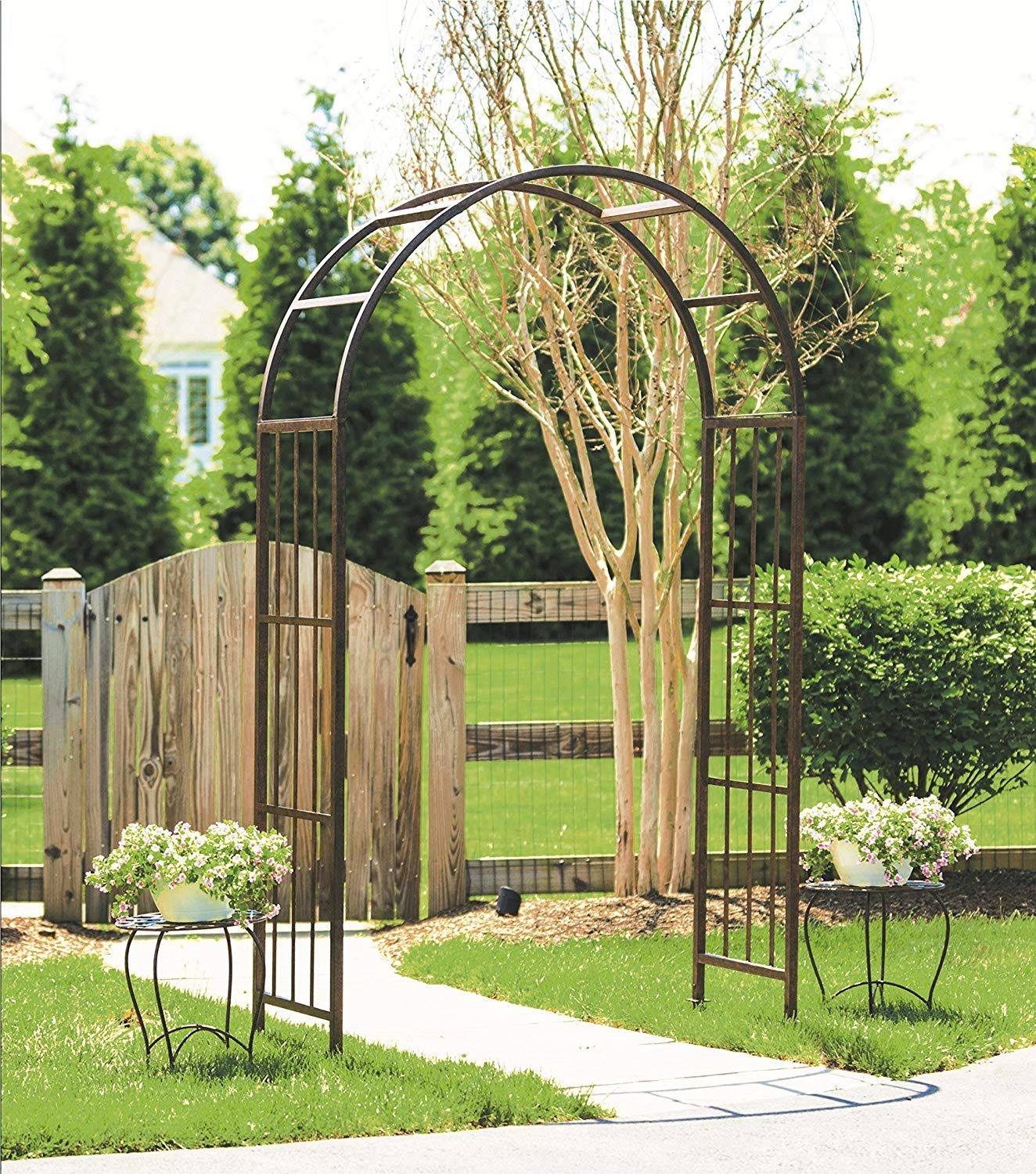 Climbing Plants Roses Vines