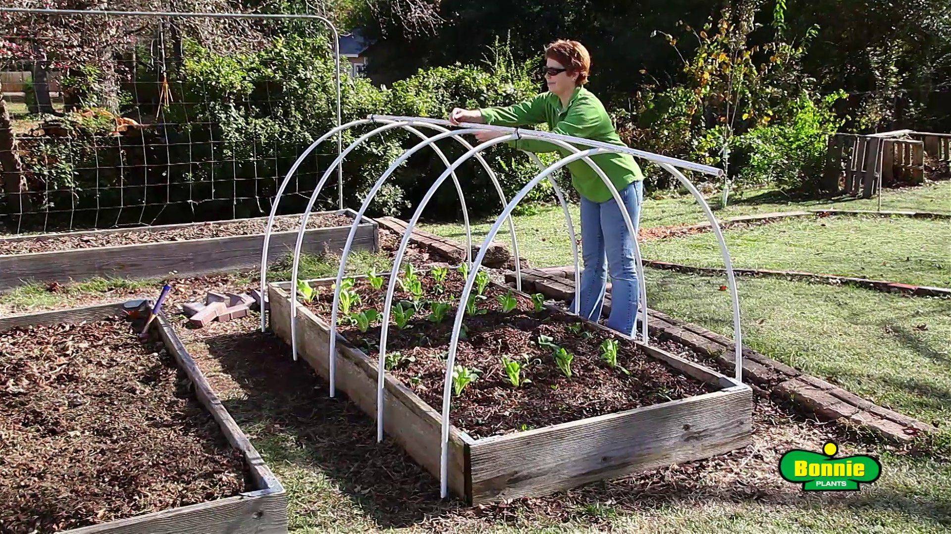 Diy Hoop House