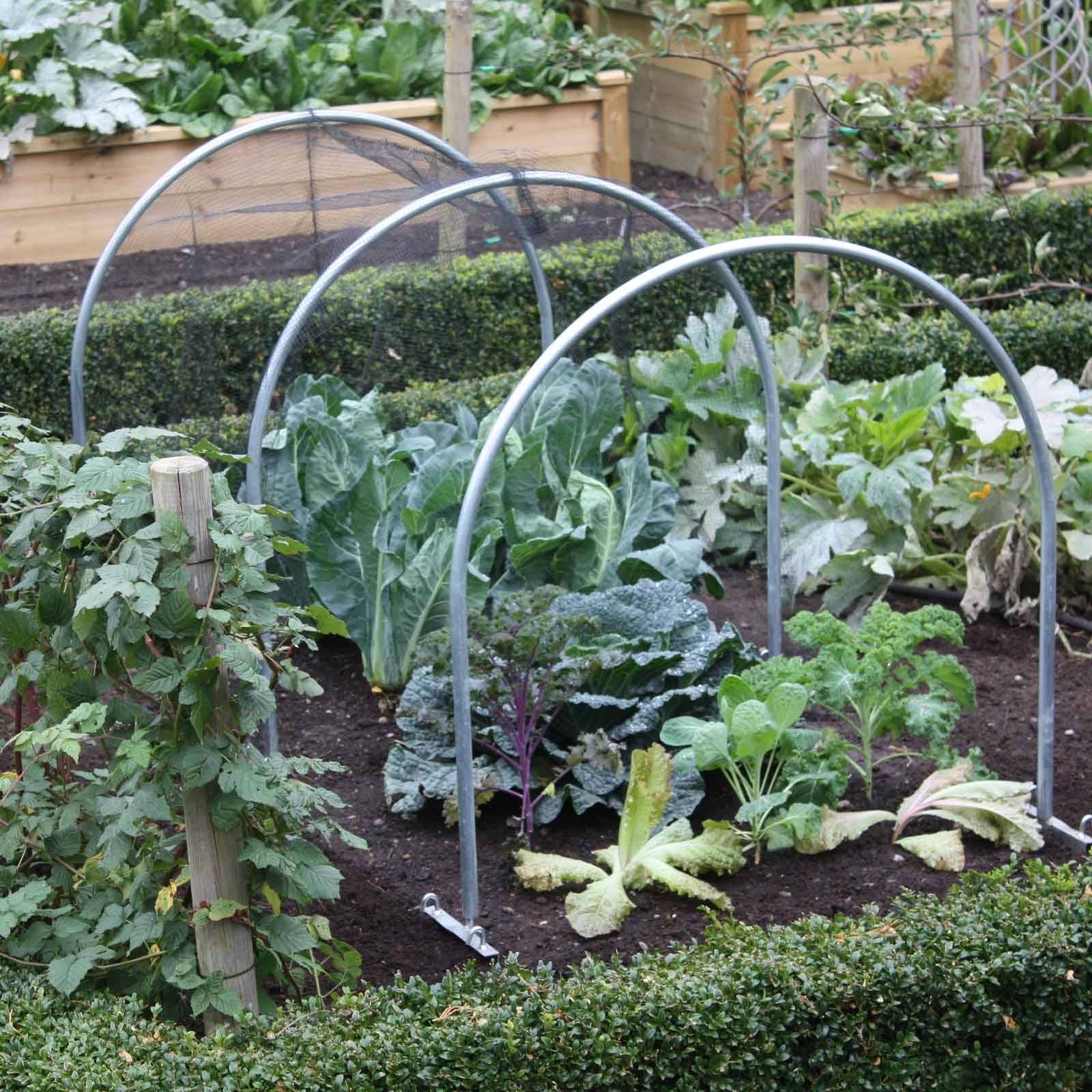 Your Projectsobn Diy Garden Trellis