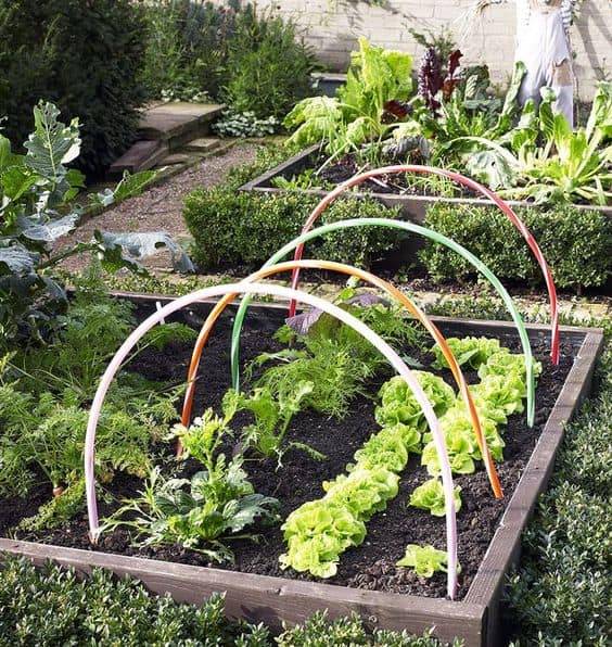 Diy Hoop House Trellis